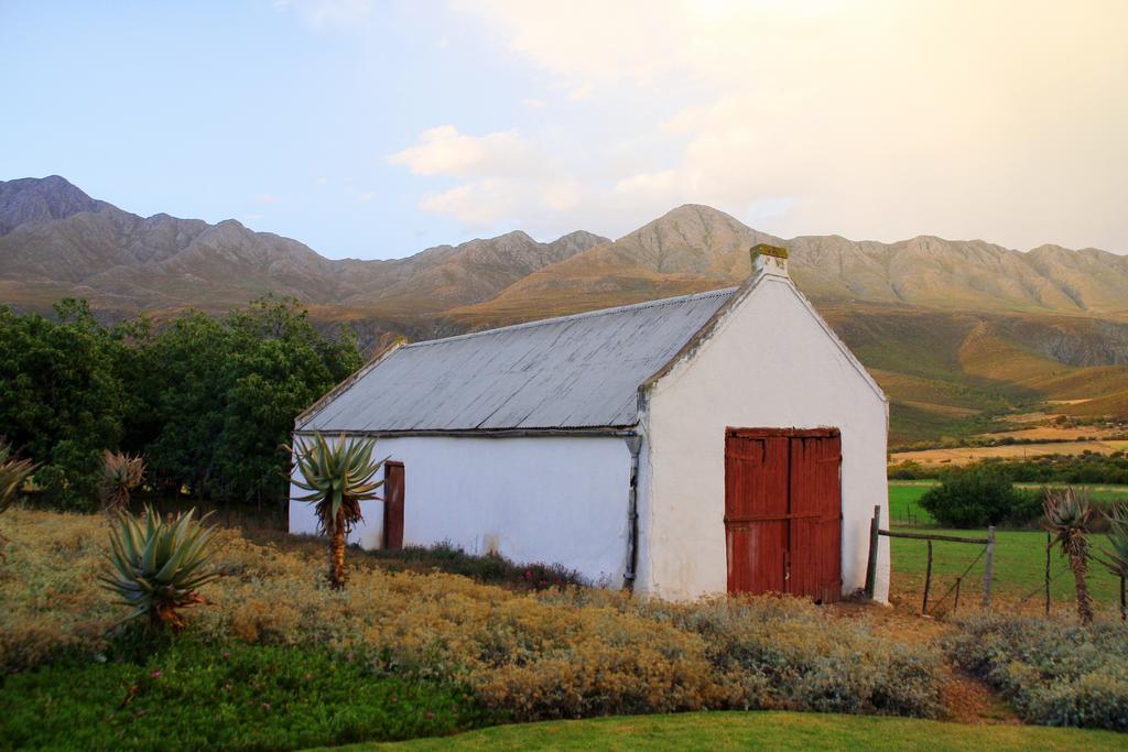 Swartberg Country Manor Matjiesrivier (Garden Route) Exterior foto