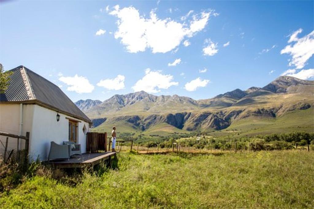 Swartberg Country Manor Matjiesrivier (Garden Route) Exterior foto