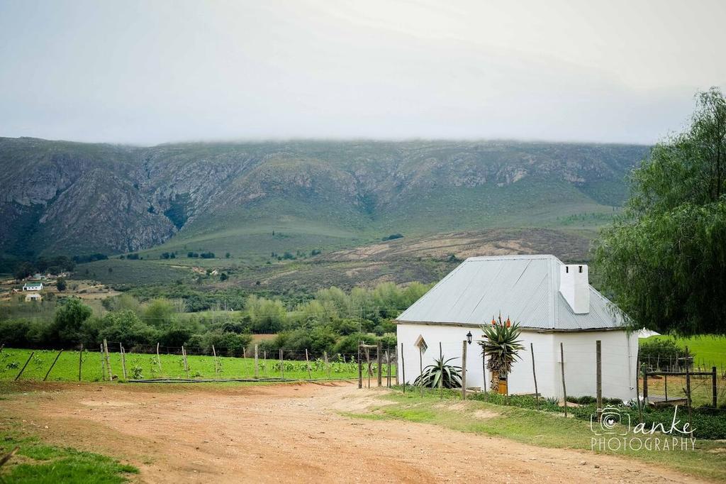 Swartberg Country Manor Matjiesrivier (Garden Route) Exterior foto