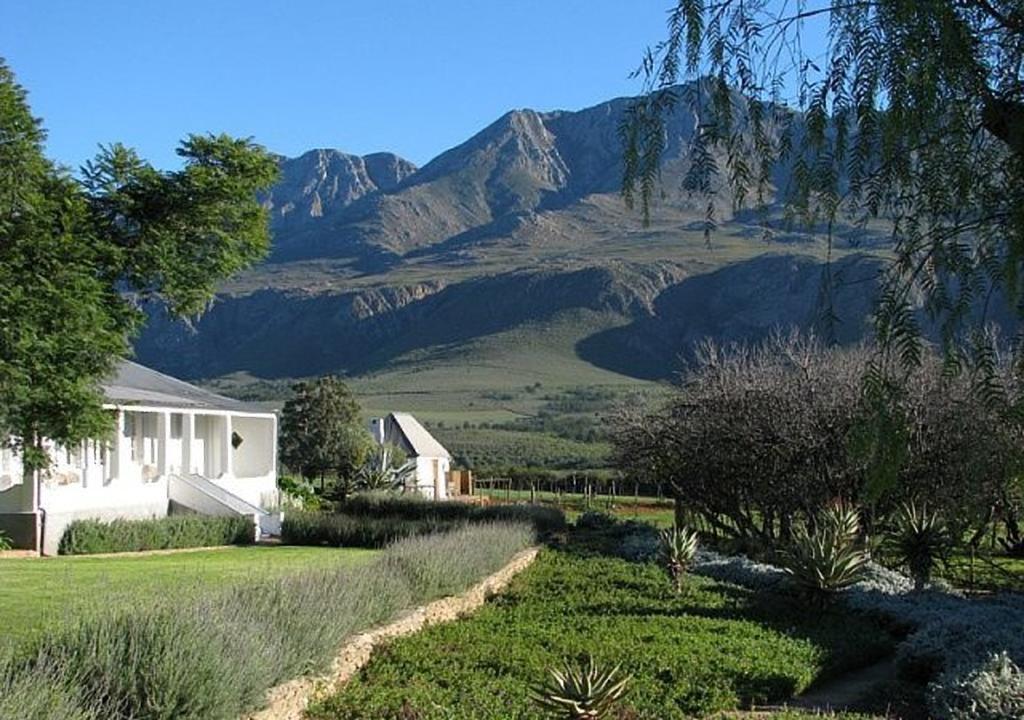 Swartberg Country Manor Matjiesrivier (Garden Route) Exterior foto
