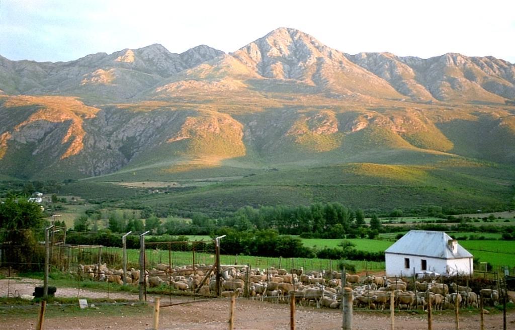 Swartberg Country Manor Matjiesrivier (Garden Route) Exterior foto