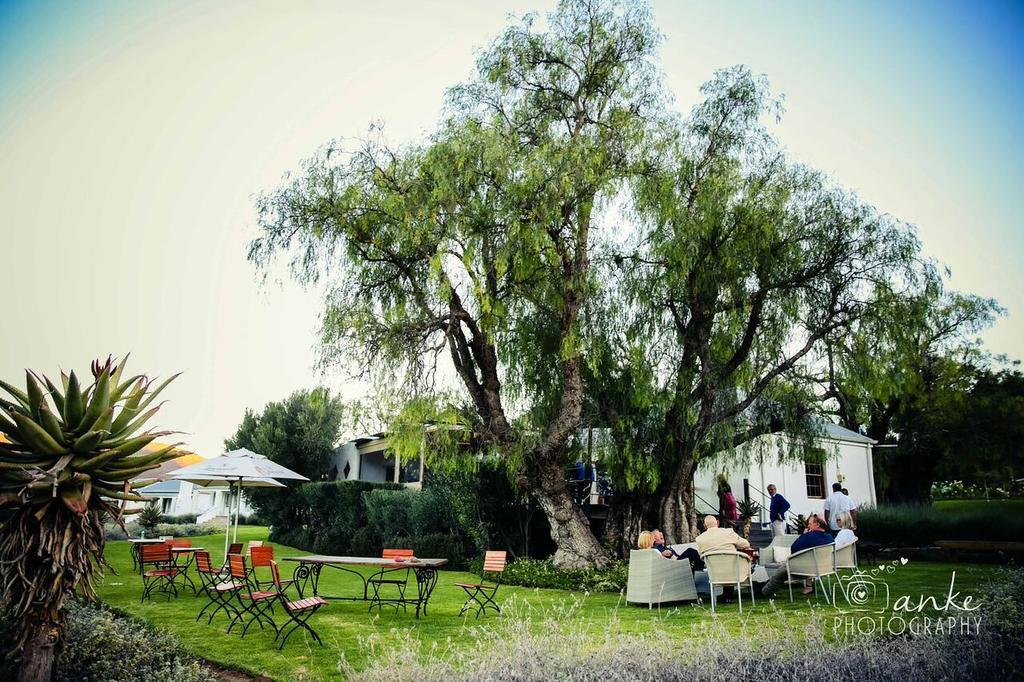 Swartberg Country Manor Matjiesrivier (Garden Route) Exterior foto